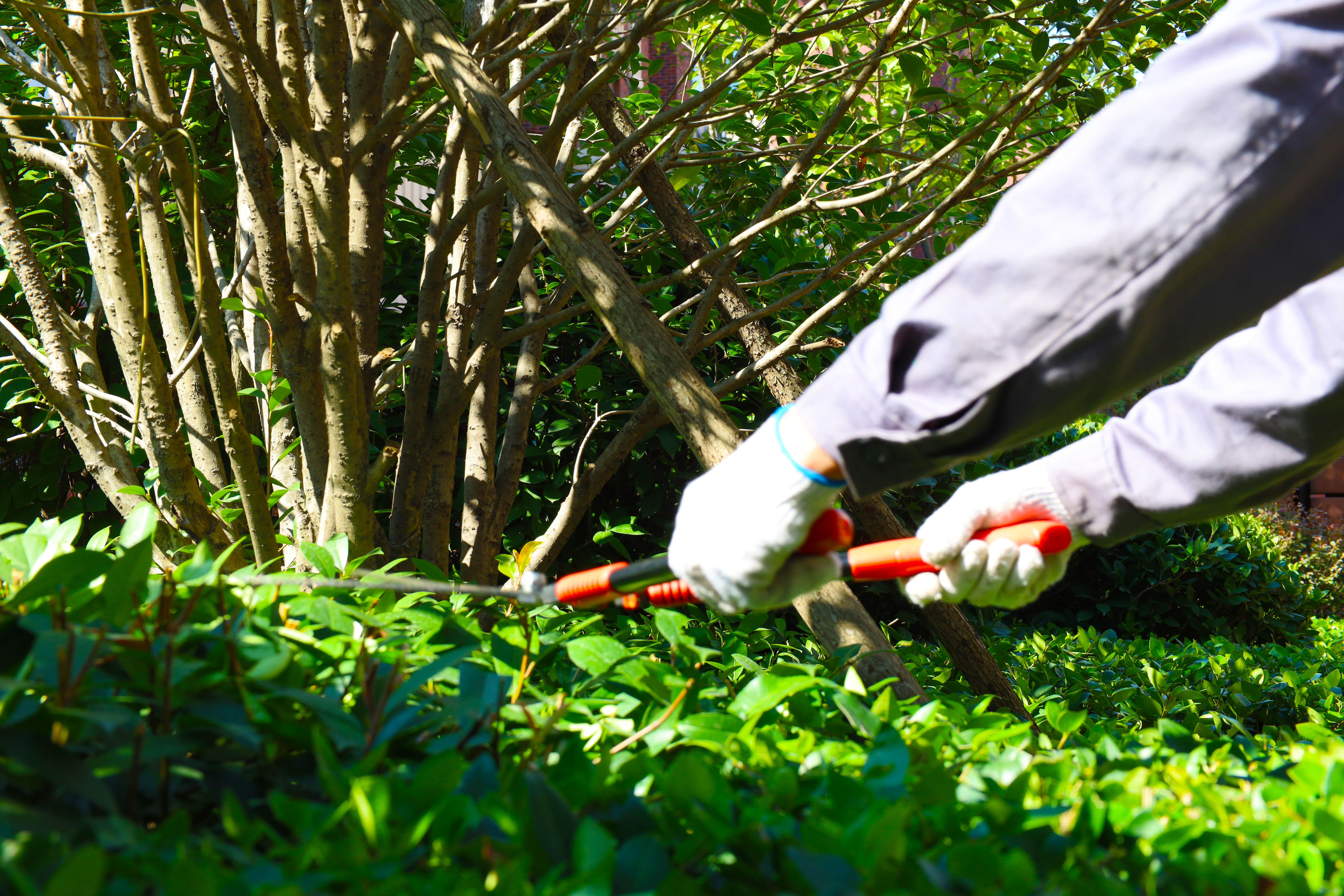 BB���ӡ�(china)�ٷ���վ