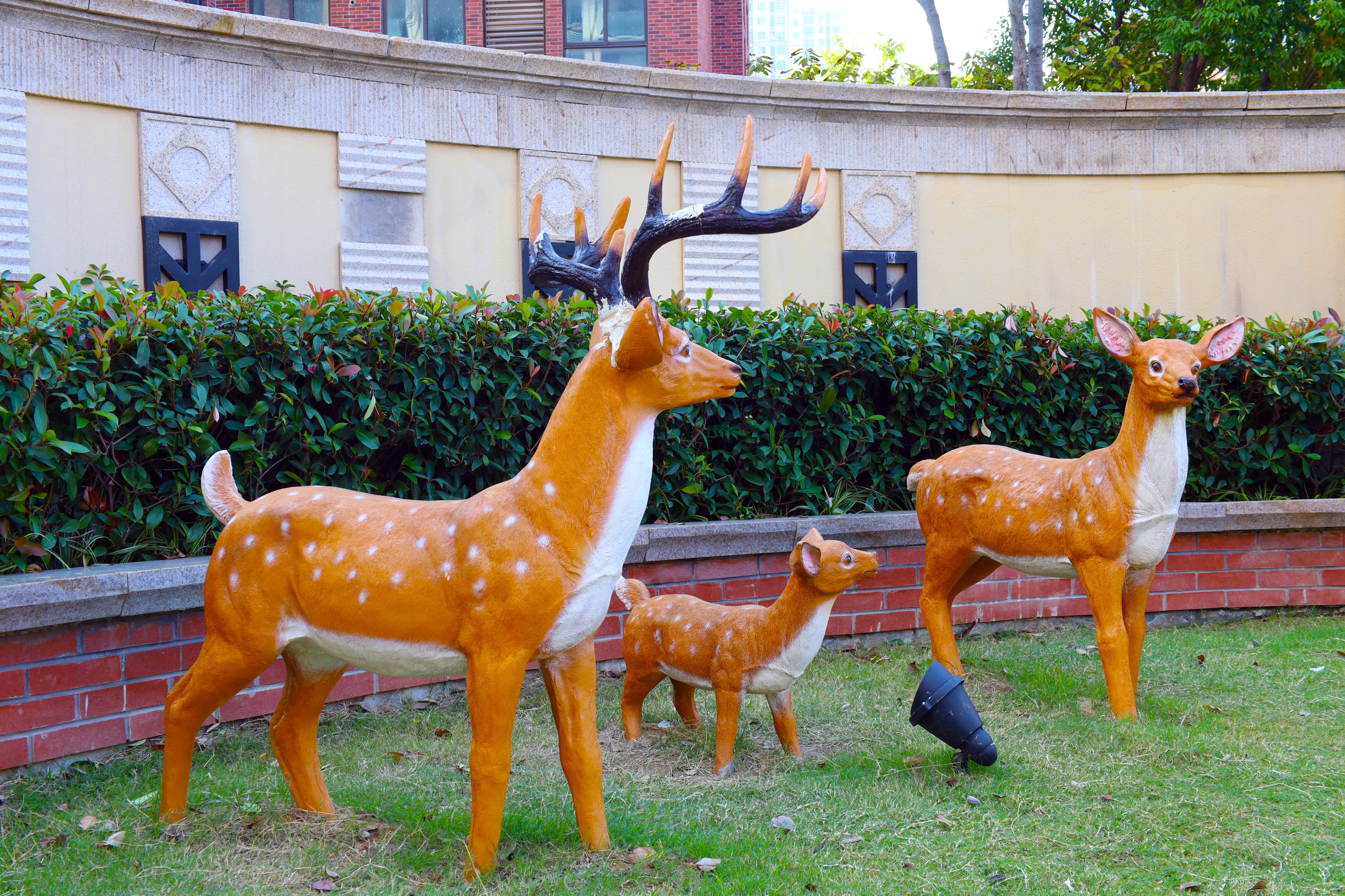 BB���ӡ�(china)�ٷ���վ